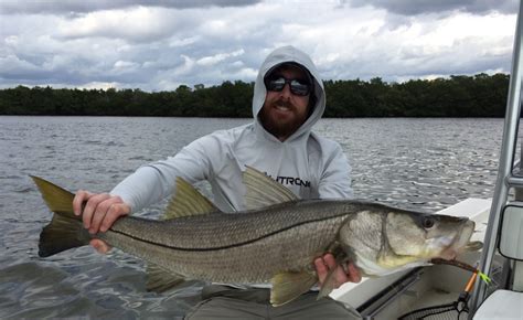 5 Shortcuts For Catching Snook In Florida Like A Pro. .